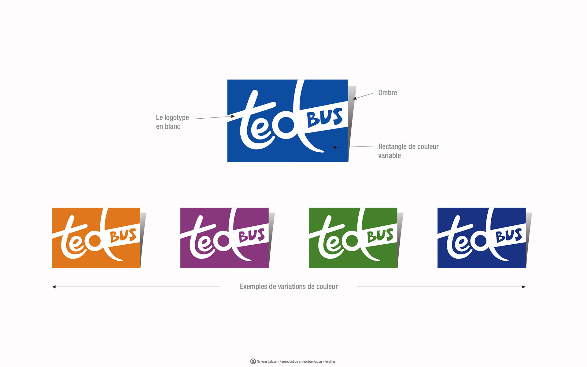 Dracénie-TedBus-logotype