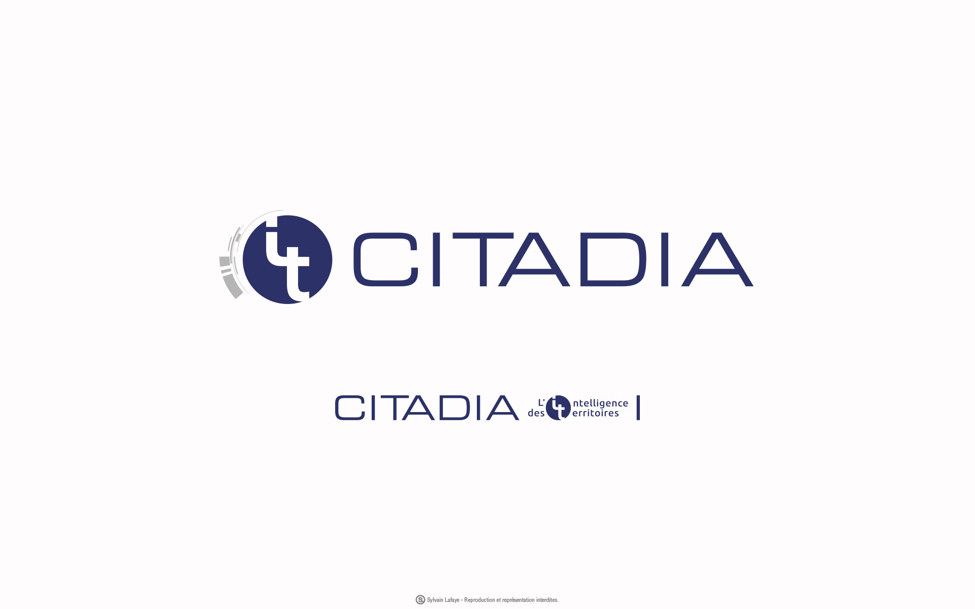 Desyl-Citadia-1